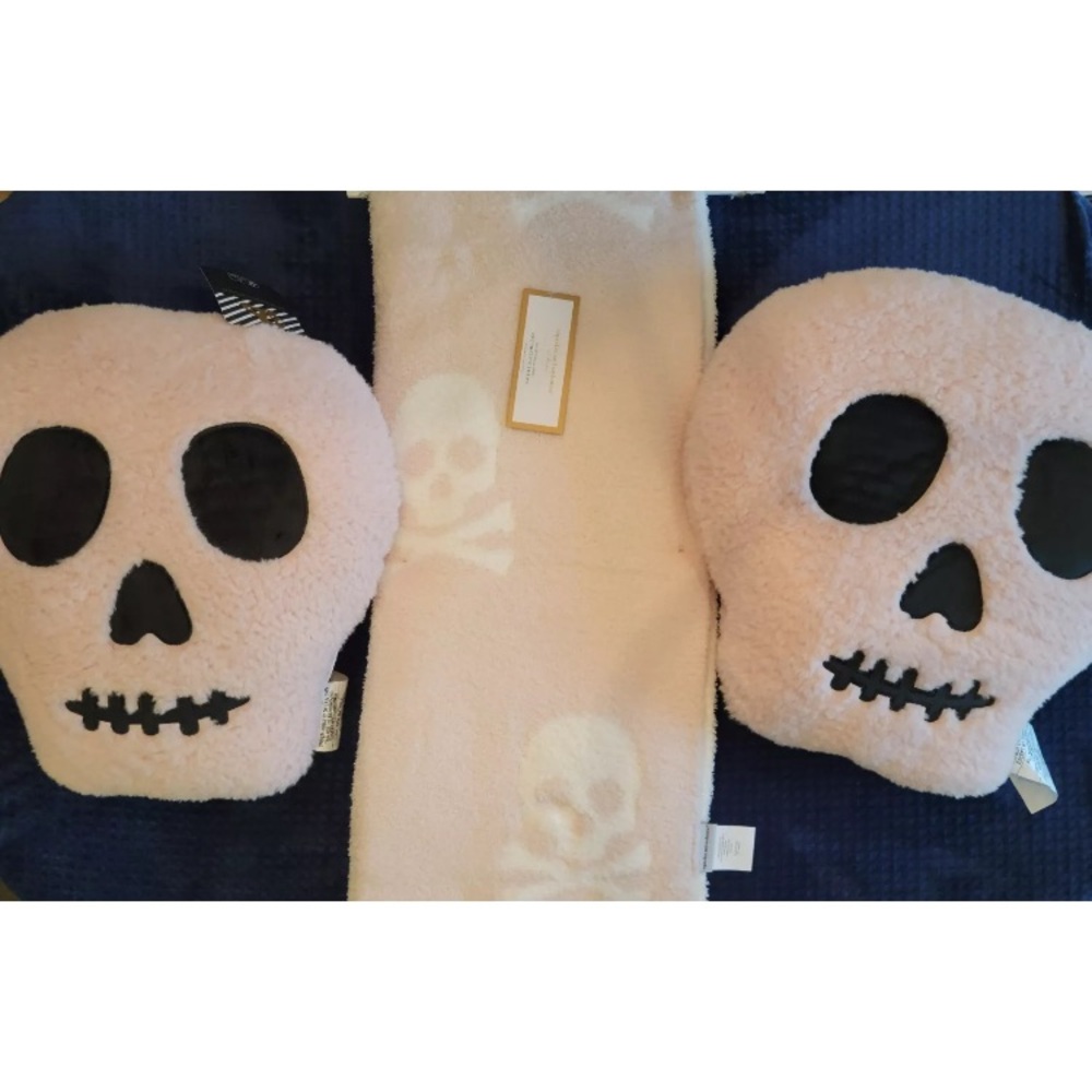 Cupcakes & Cashmere Light Pink Skull Cross Bones Halloween Blanket & 2 Pillows